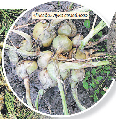 2016-11-09_12-52-06